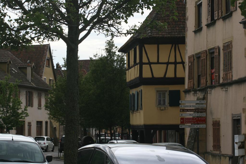 Gite Duplex Du Vignoble Alsace Rouffach Exterior foto