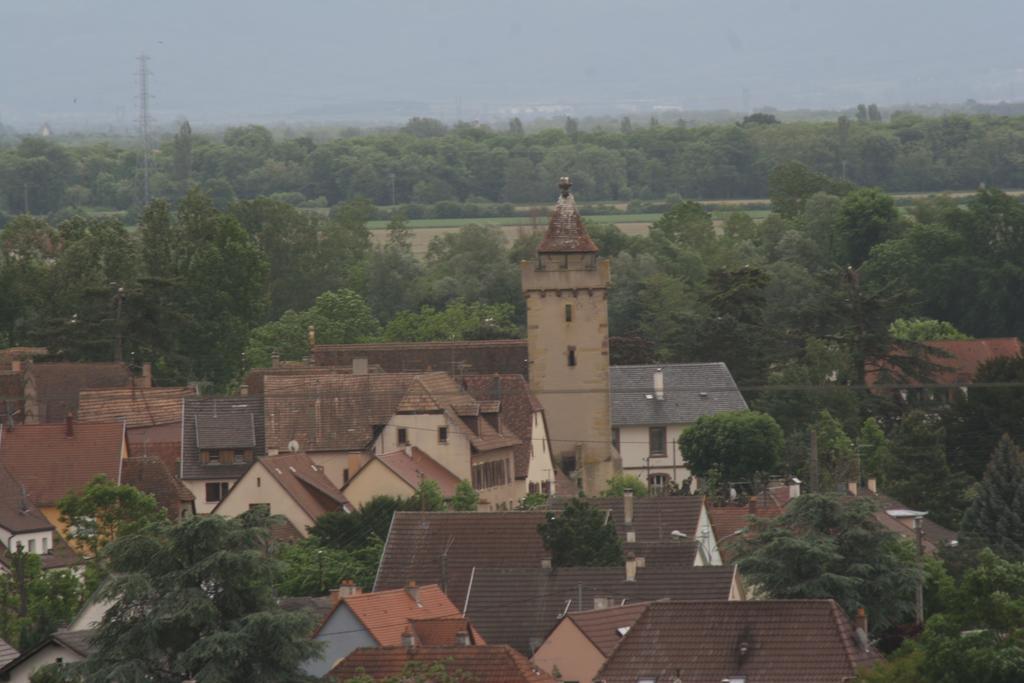 Gite Duplex Du Vignoble Alsace Rouffach Exterior foto