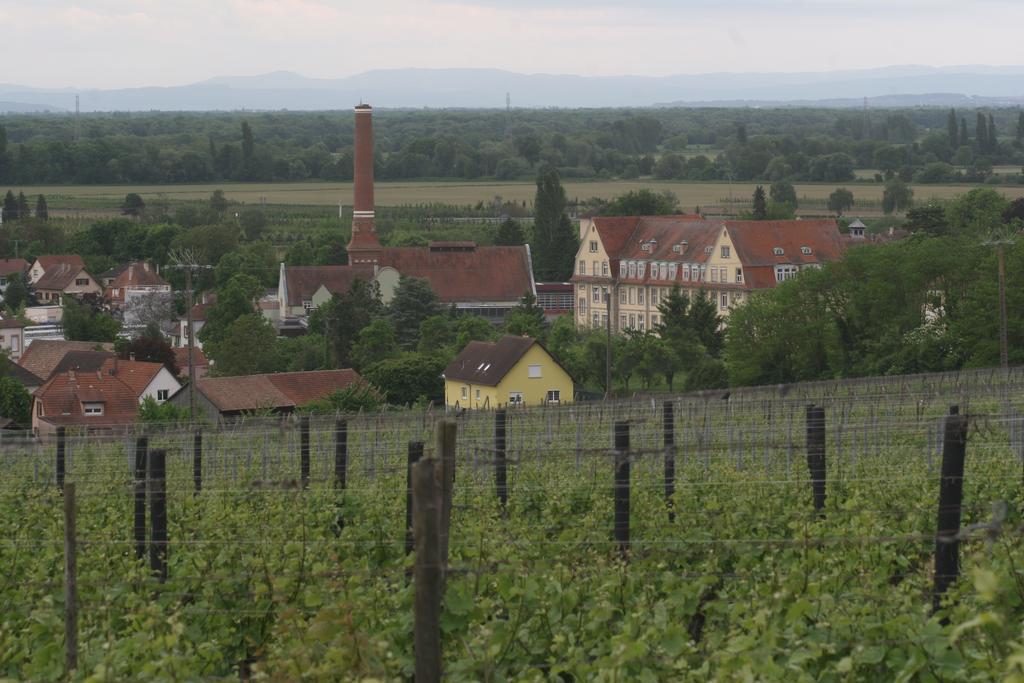 Gite Duplex Du Vignoble Alsace Rouffach Exterior foto